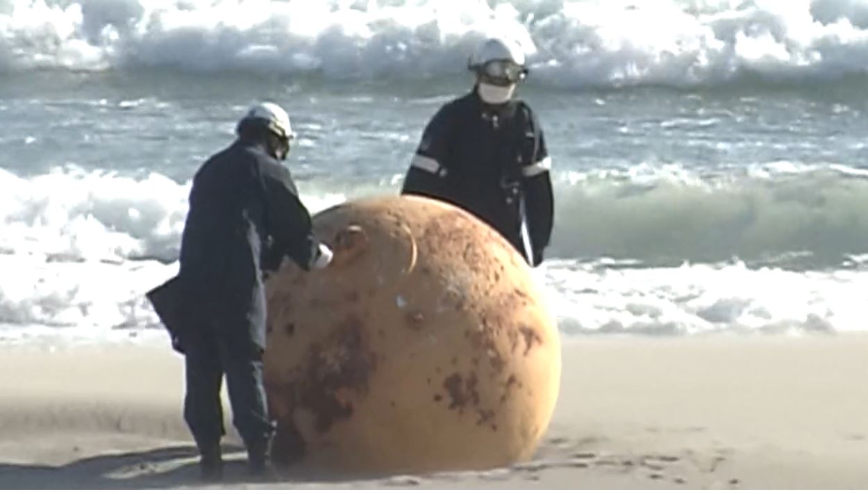 A terrible tragedy a 29yearold calf died of the disease time.news