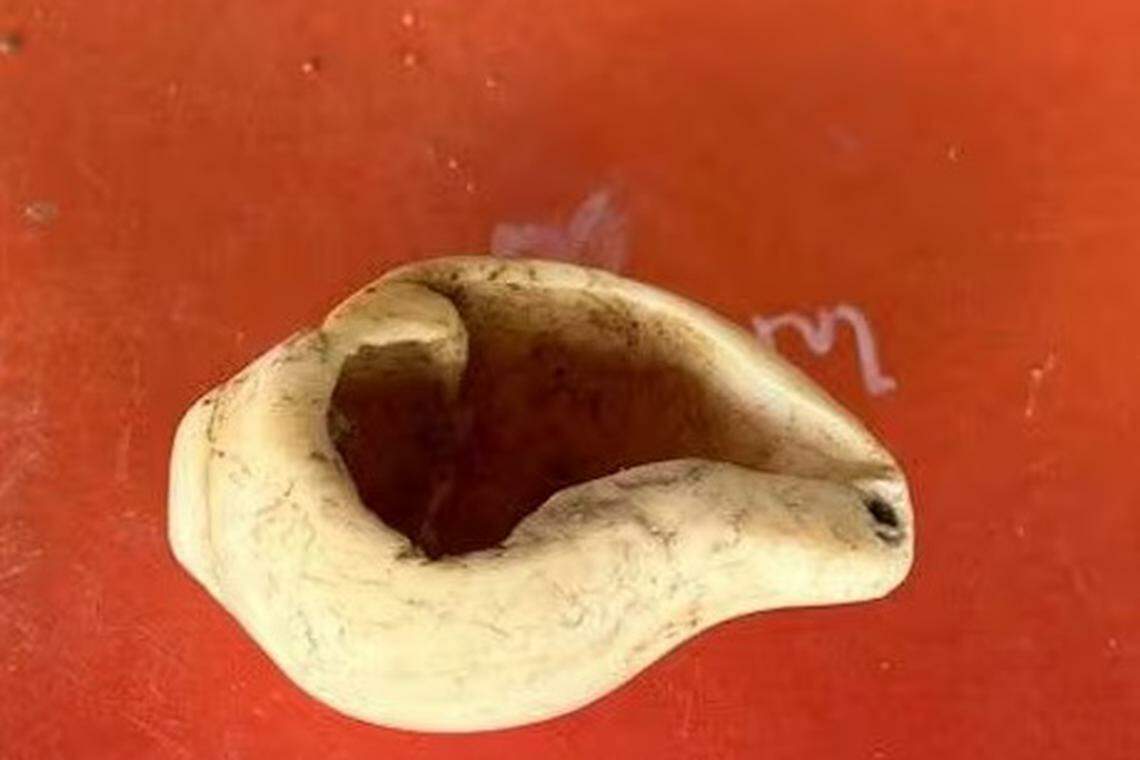 அகழாய்வு: சங்கு வளையல்களுக்கான மூலப்பொருள்கள் கண்டெடுப்பு